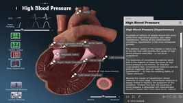 bodyxq heart image 6