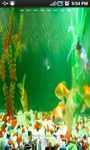 Imagem 3 do Aquarium Live Wallpaper