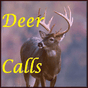 Ícone do apk White Tailed Deer Calls