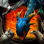 APK-иконка Wild Dragon: Bird Hunter