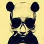 APK-иконка Punk Panda