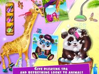 Imagem 6 do Jungle Star Animal Pets Beauty Salon