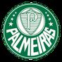 Palmeiras Widget APK