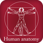 Anatomia omului APK