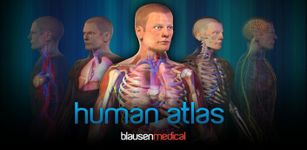 Blausen Human Atlas image 3