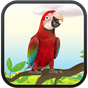 Real Talking Parrot apk icono