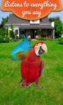 Gambar Real Talking Parrot 2