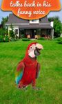 Real Talking Parrot εικόνα 3