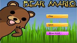 Bear Mario image 