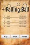 Imagen  de Falling Ball