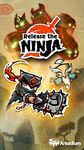 Release the Ninja の画像