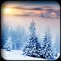 Winter Hintergrundbilder APK Icon