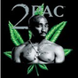 Tupac Shakur Quotes APK