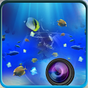 Fish Aquarium grátis WP vivo APK