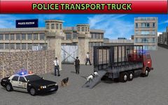 Картинка 7 полицейских собак транспорт