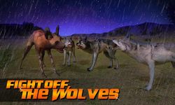 Картинка 10 Wild Dog Simulator 3D