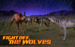 Картинка  Wild Dog Simulator 3D
