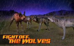 Wild Dog Simulator 3D image 