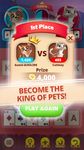 Solitaire Pets – Free Classic Solitaire Card Game imgesi 2