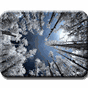 Ícone do apk Fotografia infravermelha