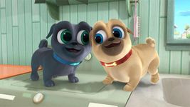 Imagen 3 de Puppy dog Pals : R & B