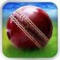 Cricket WorldCup Fever APK Simgesi