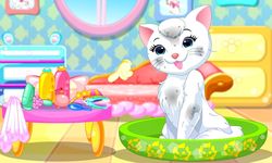 Imagine Kitty Pet Spa & Care 8