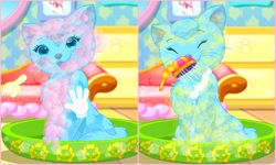 Imagine Kitty Pet Spa & Care 13