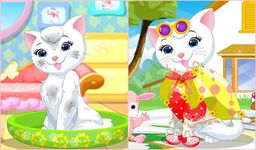 Imagine Kitty Pet Spa & Care 9