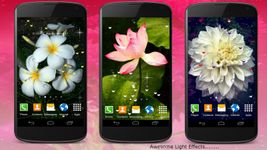 Live Wallpaper - Flowers image 7