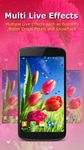 Live Wallpaper - Flowers image 4