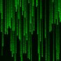 Ícone do Matrix Live Wallpaper