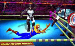 Superhero Wrestling Tag Team Ring Fighting Arena image 2