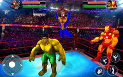 Superhero güreş etiket takım yüzük dövüş Arena imgesi 3
