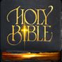 Bible App apk icon