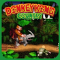 SNES Dnkey Kong Adventure APK