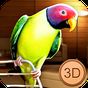 Birdy Pet - Parrot Life Simulator APK