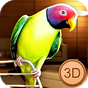 Birdy Pet - Parrot Life Simulator APK