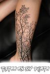 Gambar Tattoo On My Photo 2018 7