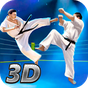Karate Fighting Tiger 3D - 2 apk icono