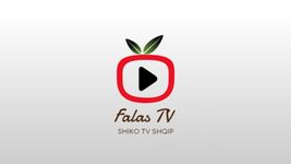 Falas TV - Shiko TV Shqip εικόνα 2