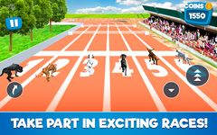 Картинка 4 Dog Race Simulator 2018