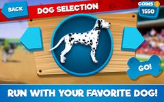 Dog Race Simulator 2018 Bild 5