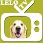 Ícone do apk Lelo TV canais abertos ( only public channels )
