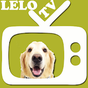 Ícone do apk Lelo TV canais abertos ( only public channels )