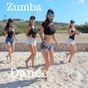 Ikon apk Zumba Dance Offline