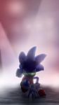 Imagen 2 de Wallpaper HD For Sonic