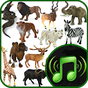 Animales salvajes y sonidos de aves apk icono