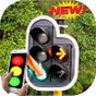 Traffic Light Changer Pro apk icon