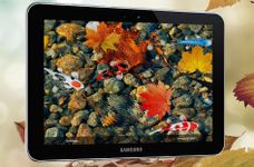 Gambar KOI Lucky Fish Live Wallpaper 4